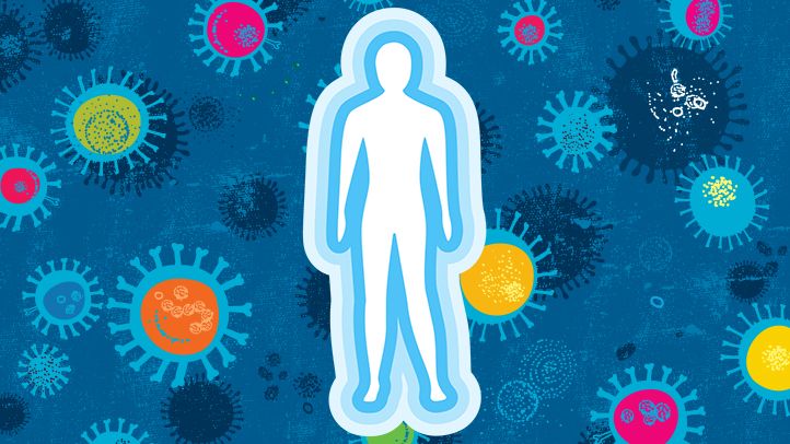 Преглед на имунната защита - повишаване на имунната ви система